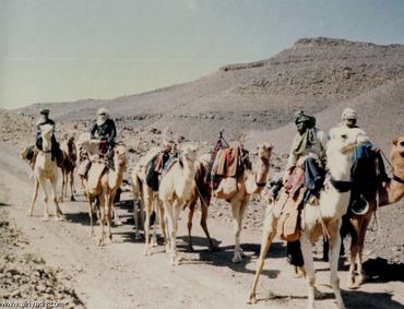 (2013/09/20) الشيخ التهامي الراجي - التوحيد في مناسك الحج / Cheikh Touhami Raji - Le TawHid dans les rites du Hajj